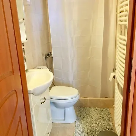 Luxury House In With A Great View Balcony Apartment *